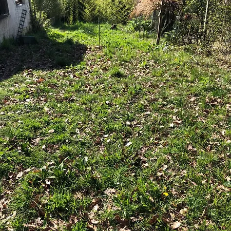 Entier Guest house Aussonne
